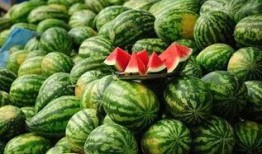 世界同台吃瓜网红,共享“吃瓜”盛宴